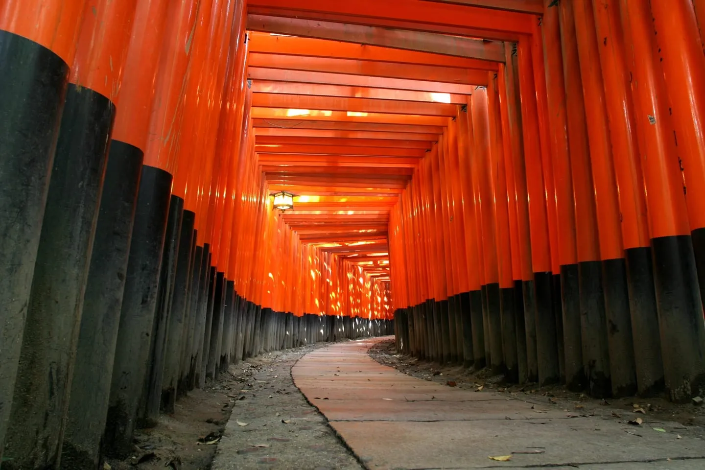 A path through tightly packed orange torii gates at Fushimi Inari Taisha in Kyoto